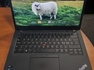Lenovo ThinkPad T14 2nd Gen 14.0 Fhd IPS i5-1135G7 16GB RAM 256GB SSD, 0% A Grade