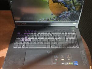 Asus TUF Gaming F17 17.3 FHD IPS 144Hz i7-12700H 32GB 2TB SSD RTX 4060 8GB 20%